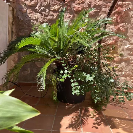 Casa Gallinera Country house *