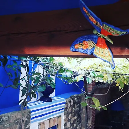 Casa Gallinera *